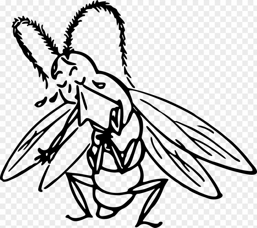 Cartoon Animals Insect Drawing Clip Art PNG