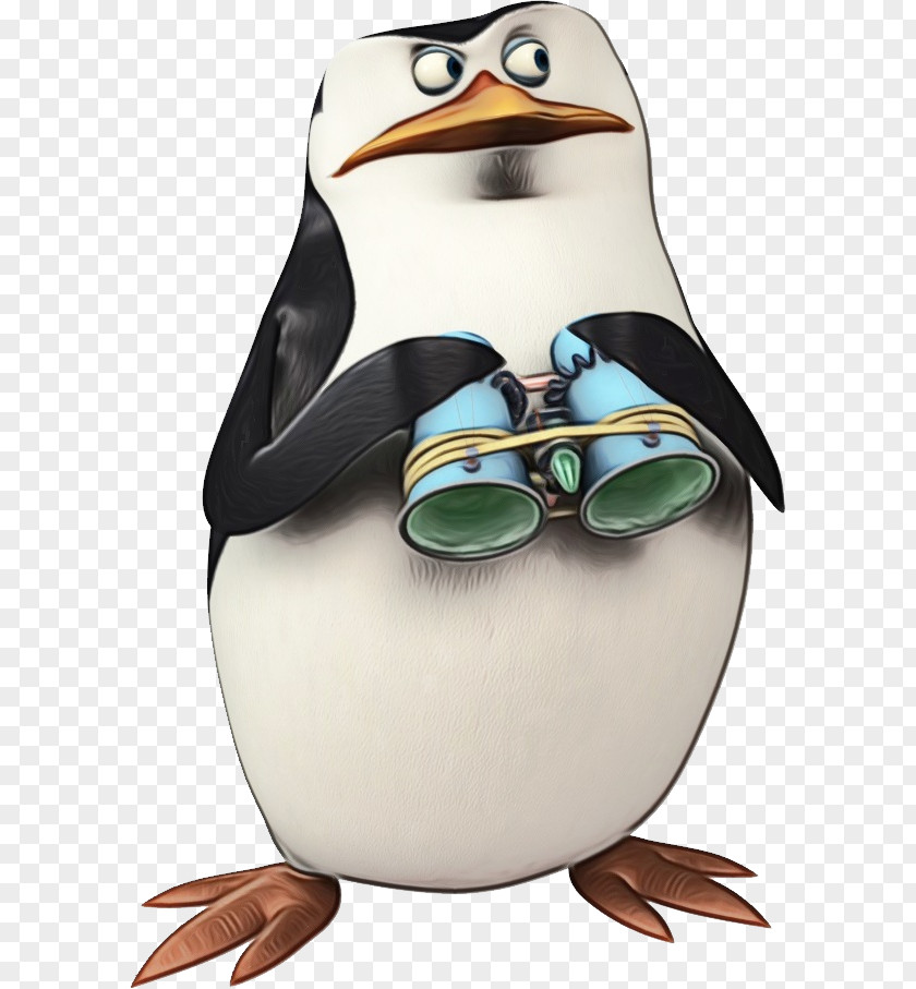 Goggles Bird Glasses PNG