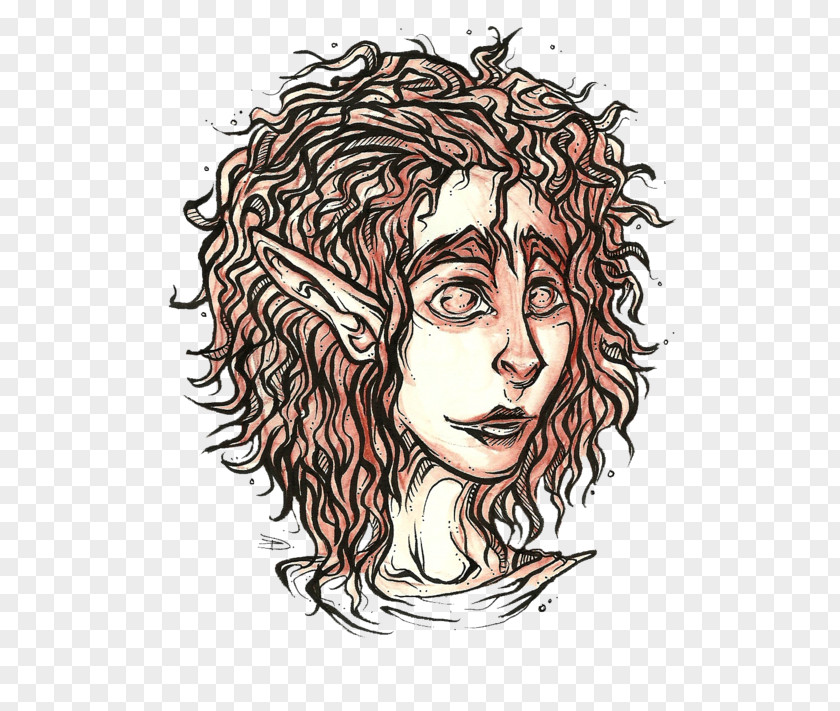 Hair Homo Sapiens Coloring Facial Sketch PNG