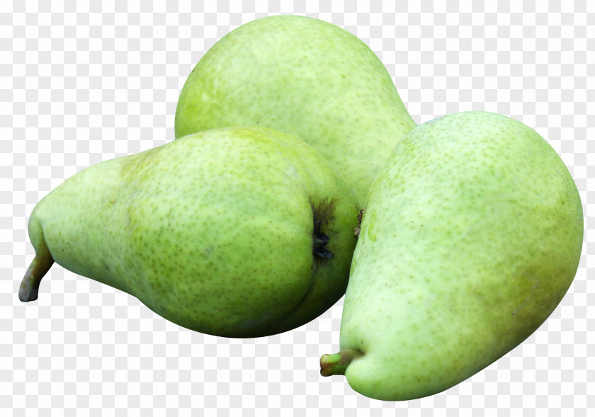Pear Fruit Asian Crisp Apple PNG