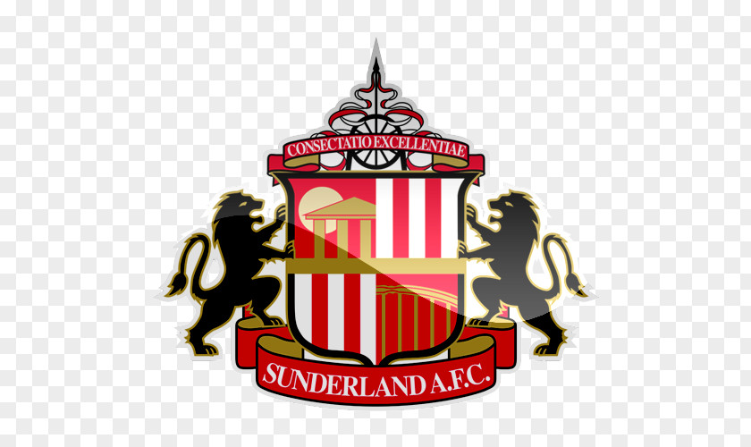 Premier League Sunderland A.F.C. Ladies EFL Championship Stadium Of Light PNG