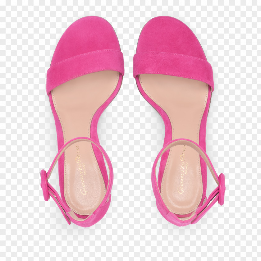 Ric Flip-flops Slipper Pink M Shoe RTV PNG