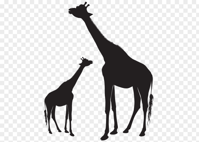 Silhouette Clip Art Baby Giraffe Image Vector Graphics PNG