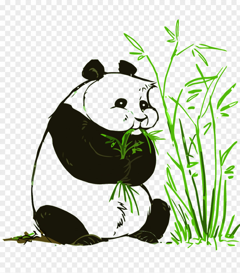 Vector Panda Giant Red Bear Illustration PNG