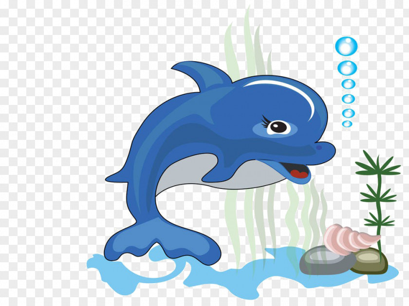 Cartoon Dolphin Material Photography Clip Art PNG