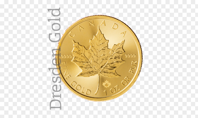 Coin Gold Tree PNG