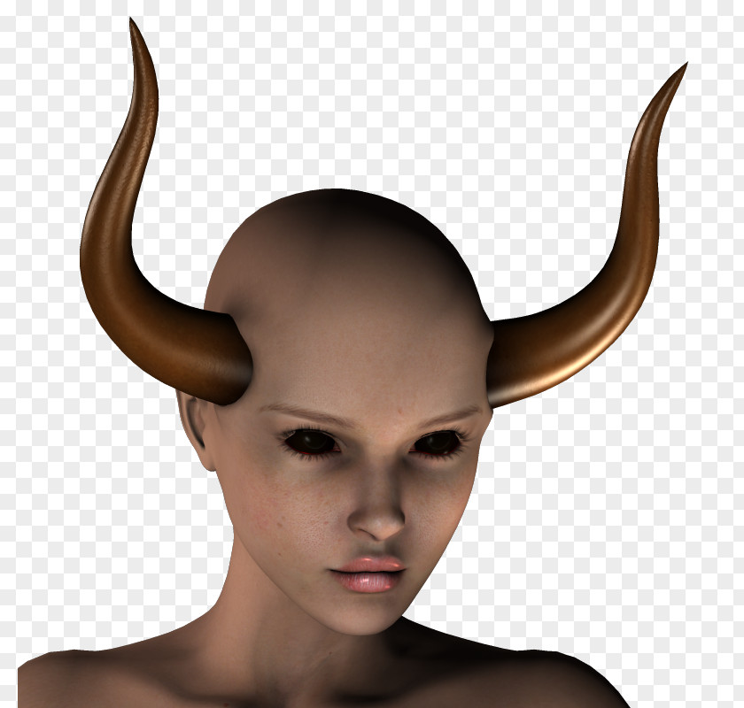 Forehead Ear PNG