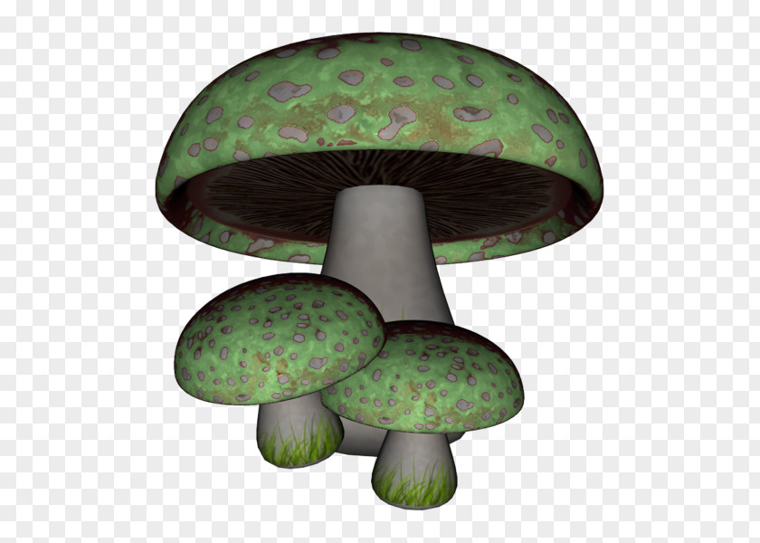 Green Mushrooms Mushroom Fungus Gratis PNG