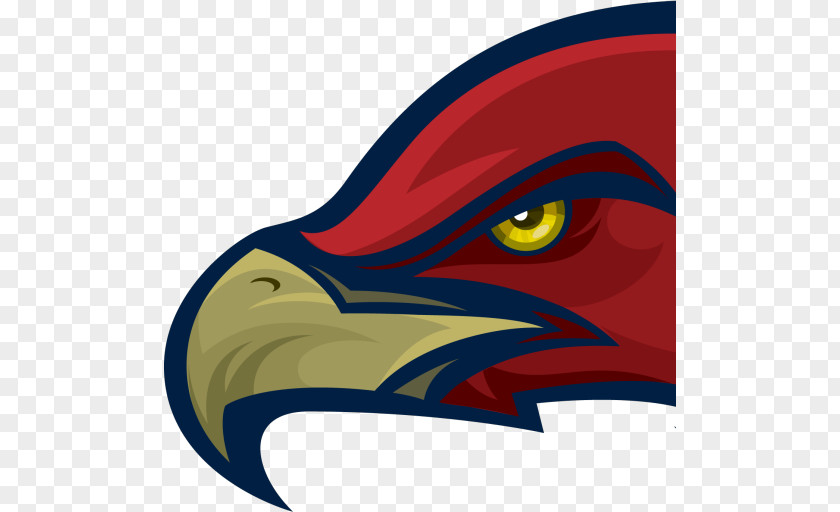 Mill Creek High School Hoschton Hawk Logo PNG