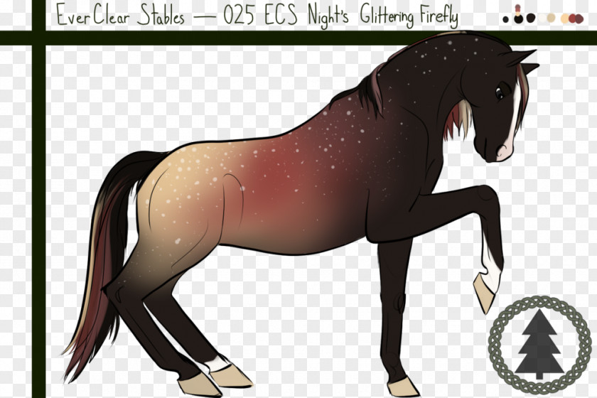 Mustang Mane Stallion Pony Mare PNG