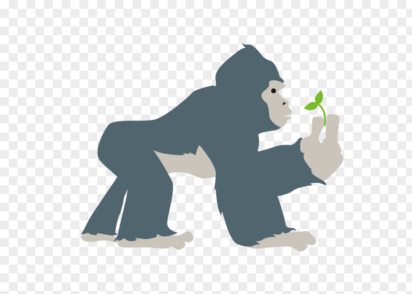 Gorilla Hands Sapling Western Orangutan Illustration PNG