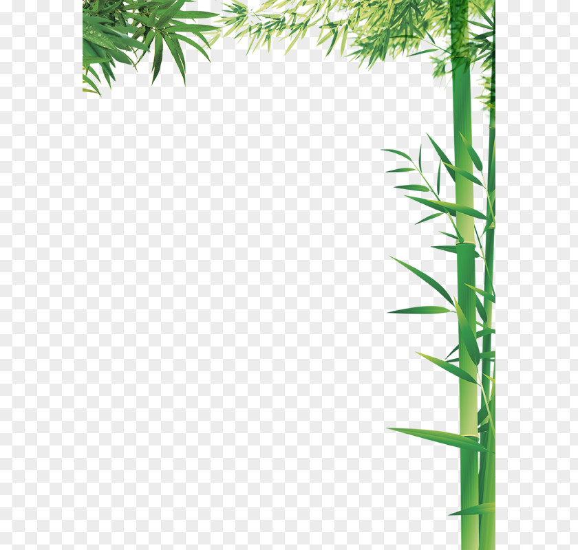 Green Column Bamboo Bamboe PNG