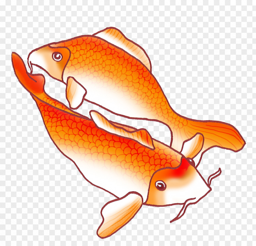 Koi Fish Drawing PNG
