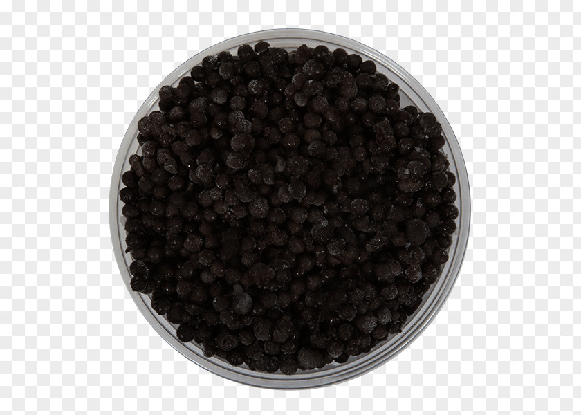 Line Dots Caviar PNG