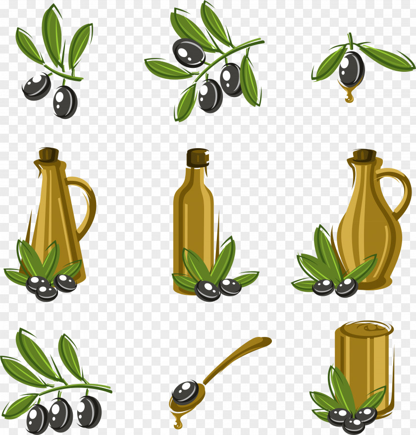 Olive Vector Material, Oil Euclidean PNG