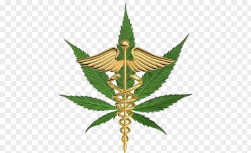 Cannabis Florida Amendment 2 Medical Constitutional PNG