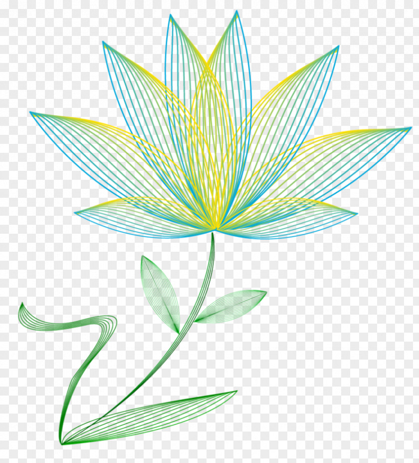 Flower Insignia Drawing Plant Stem PNG