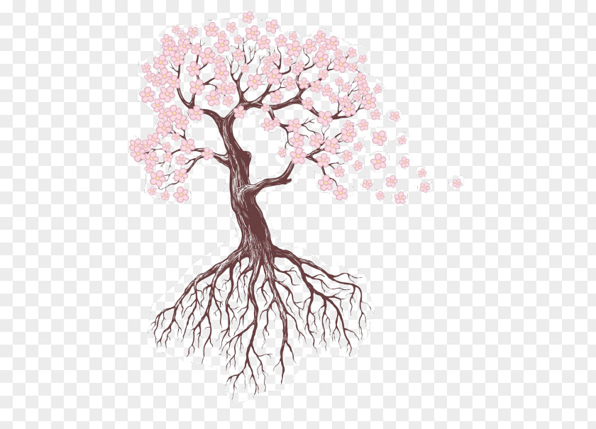 Line Art Hydrangea Cherry Blossom Tree Drawing PNG