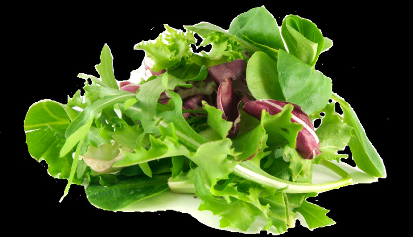 Macaroni Salad Mesclun Organic Food Spinach Leaf Vegetable PNG
