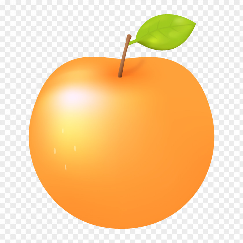 Peach Tree Orange PNG