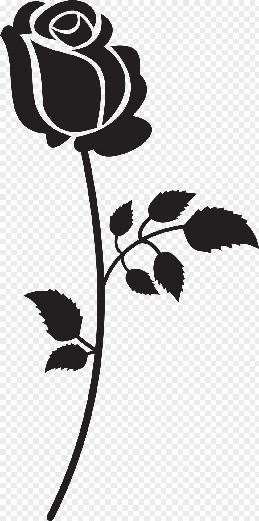 Pedicel Stencil Leaf Black-and-white Flower Plant Stem PNG