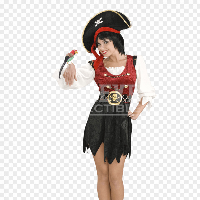 Pirate Parrot Costume Clothing Gimmick PNG