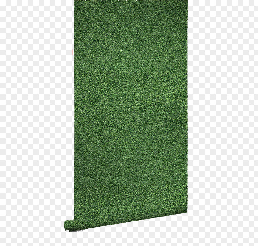 Turf Rectangle Artificial PNG