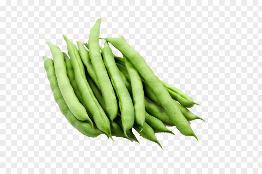 Vegetable Green Bean Organic Food Guar PNG