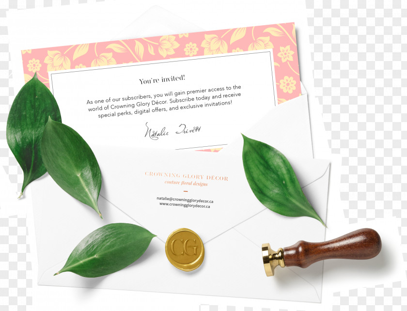 Design Brand Leaf PNG