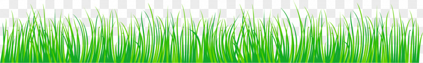 Green, Fresh Grass Green PNG