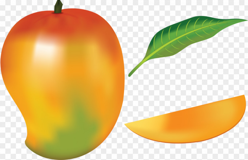 Mango Fruit Drawing Clip Art PNG