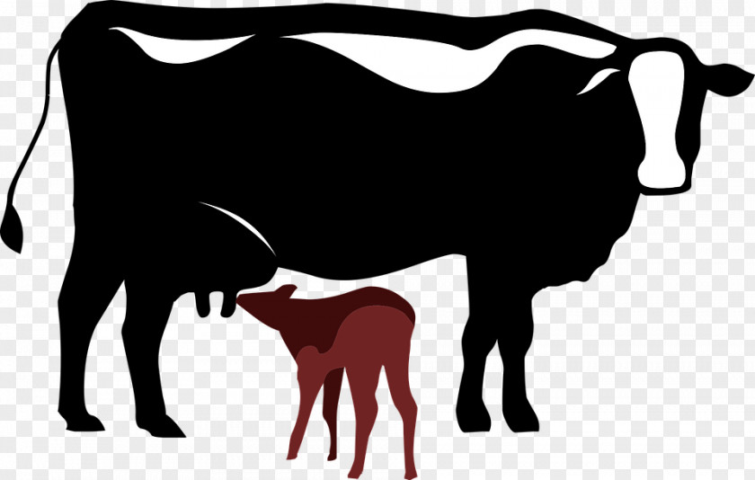 Cartoon Cow Dairy Cattle Calf Vector Graphics Clip Art PNG