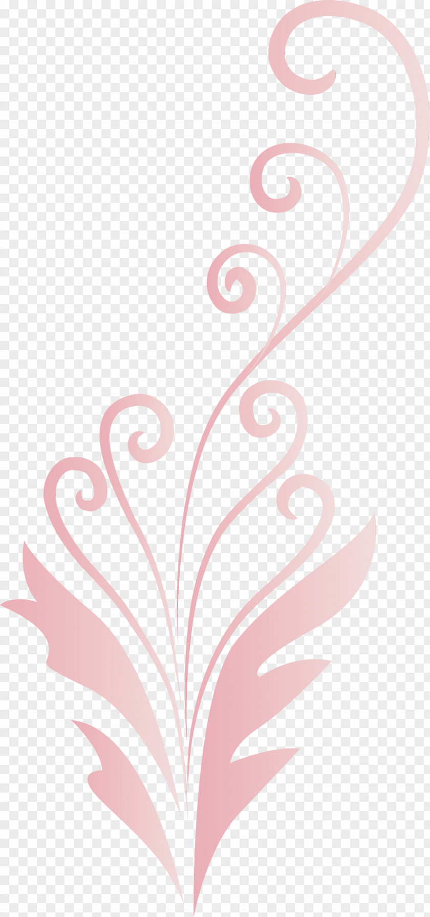 Floral Design PNG