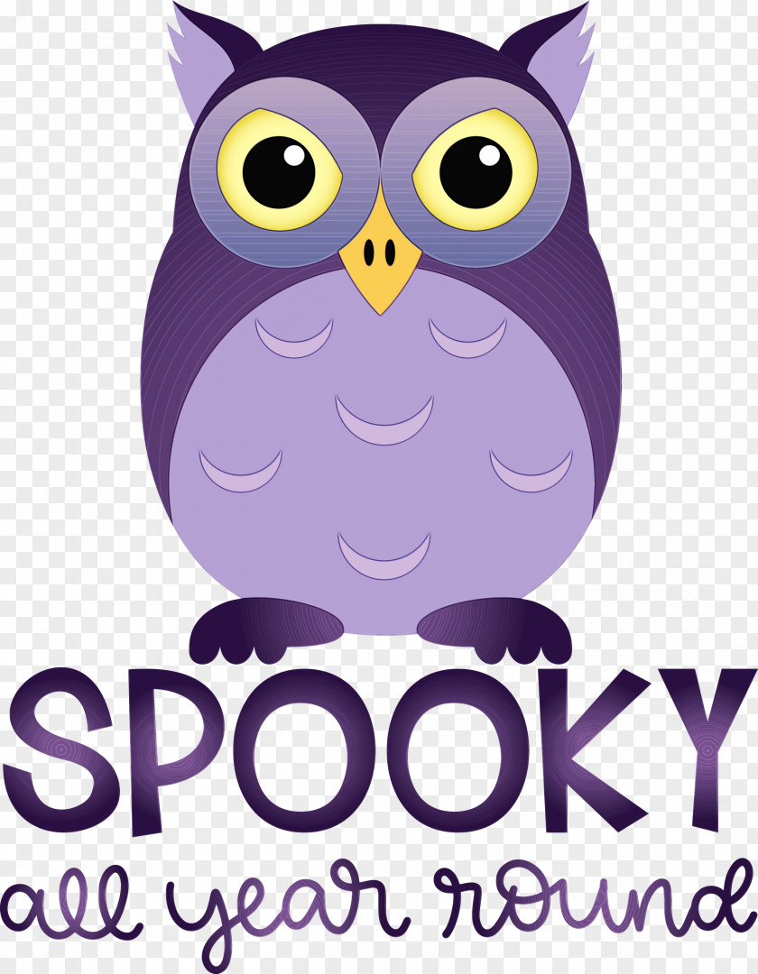 Owls Birds Beak Cartoon Bird Of Prey PNG