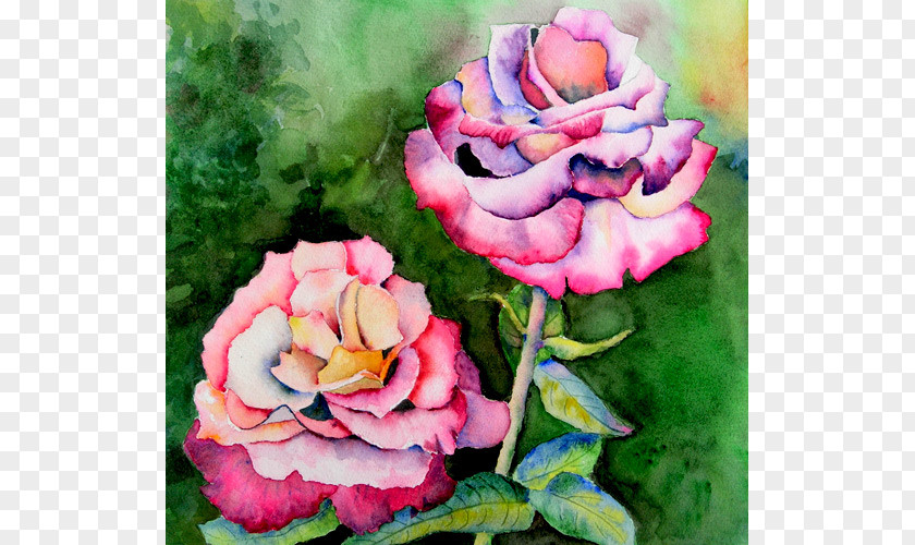 Watercolor Town Garden Roses Cabbage Rose Floribunda Cut Flowers Floral Design PNG