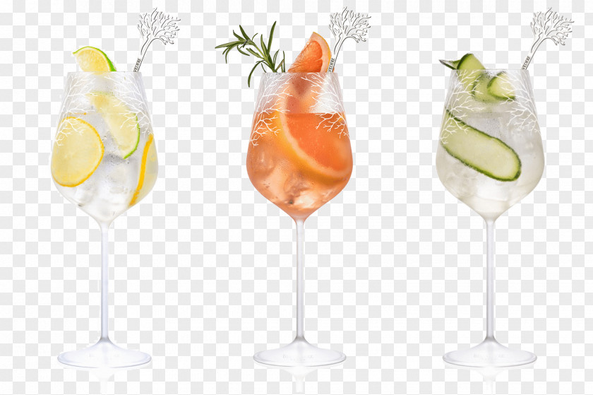 Cocktail Garnish Spritz Wine Grapefruit Juice PNG