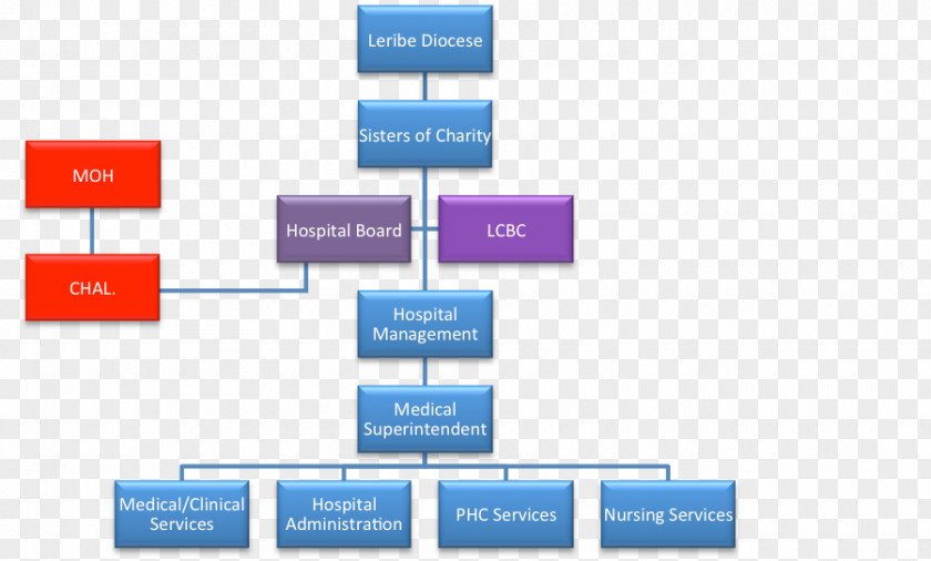Financial Advisor Organizational Structure Hospital Board Of Directors Health Administration PNG
