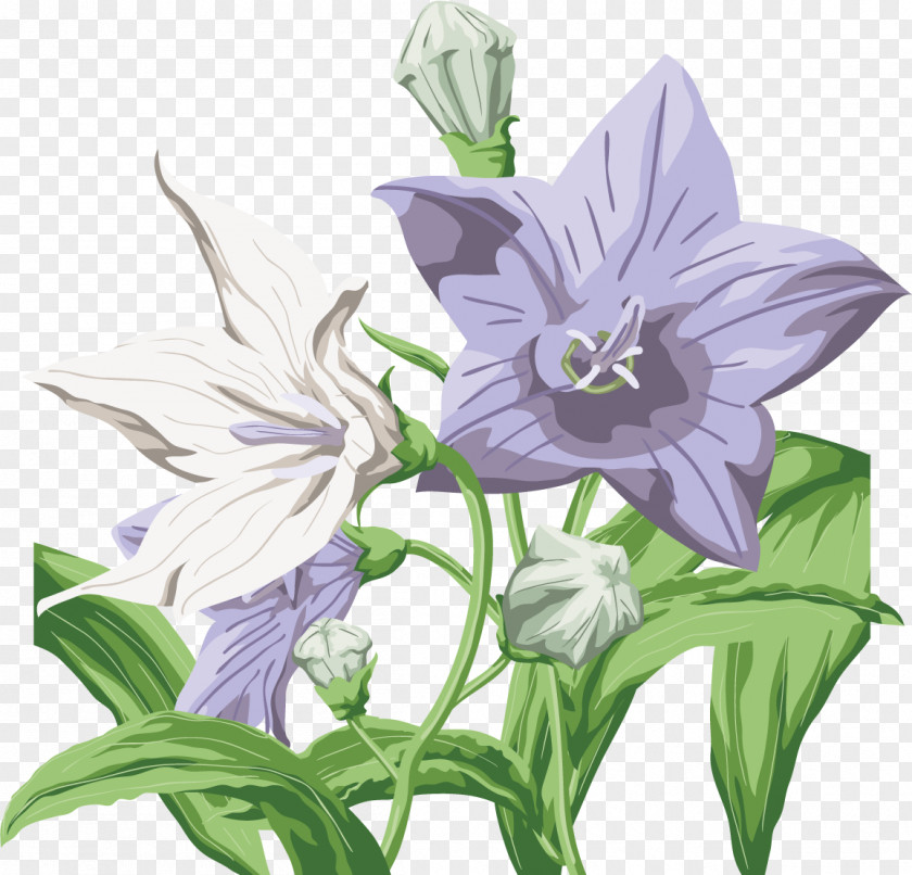 Flower Harebell Desktop Wallpaper Clip Art PNG