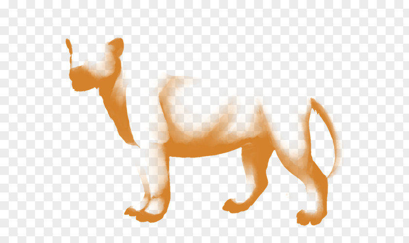 Lion Dog Mane Big Cat PNG