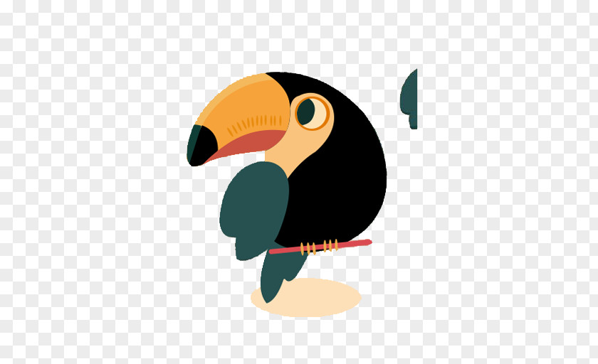 Cartoon Parrot Pictures Bird True Clip Art PNG
