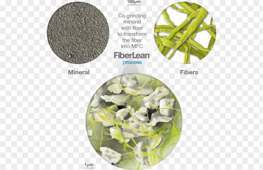 FiberLean® Technologies Ltd Plastic Keyword Research Film Producer Cellulose PNG