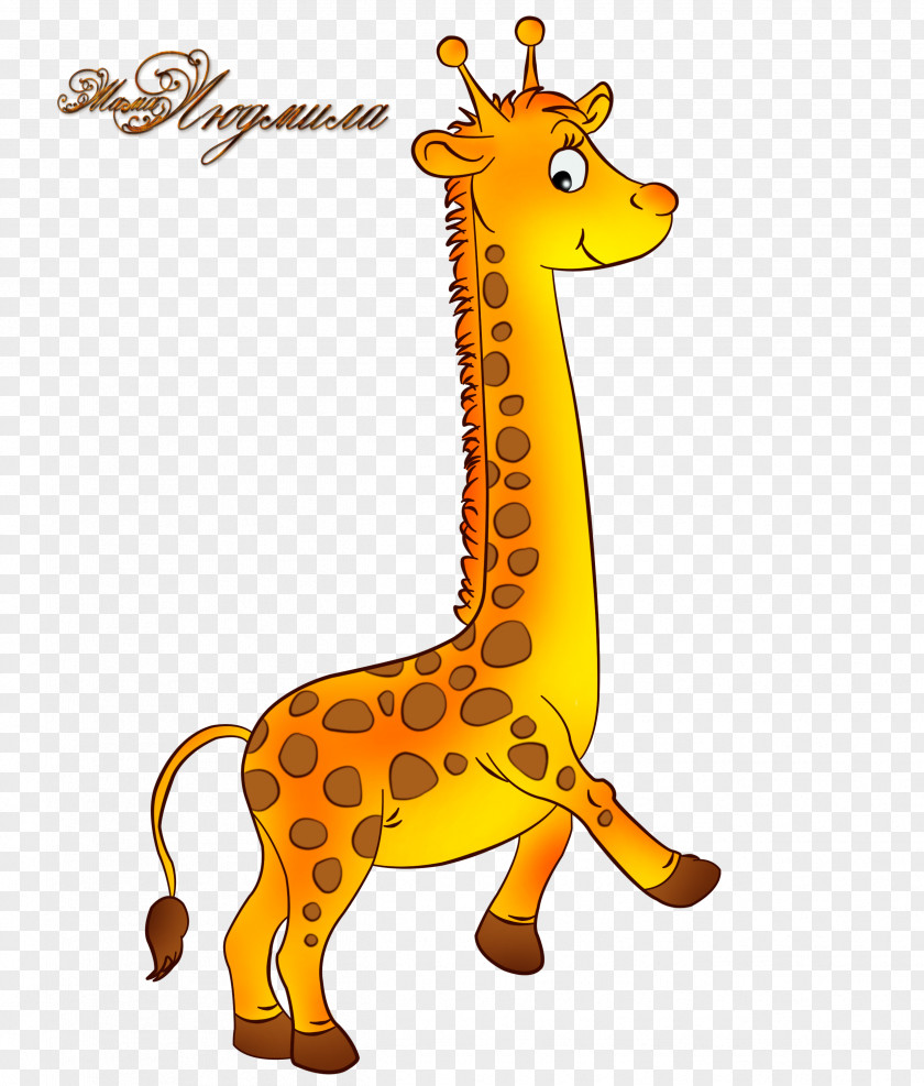 Giraffe Neck Terrestrial Animal Wildlife Clip Art PNG