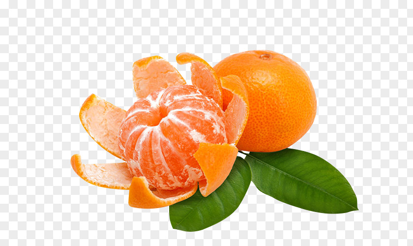 Ingredient Kumquat Lemon Cartoon PNG