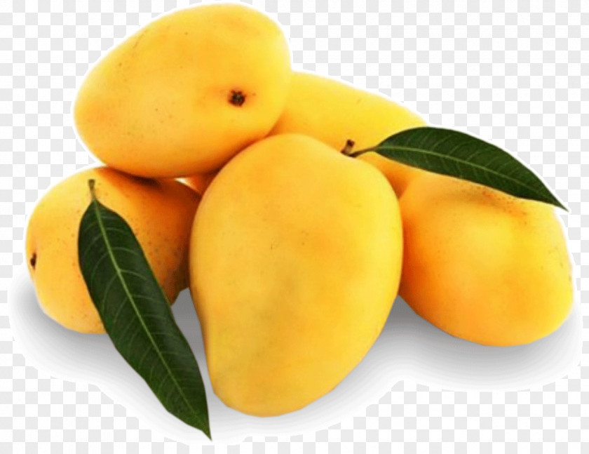 Mango India Alphonso Fruit Mangifera Indica PNG