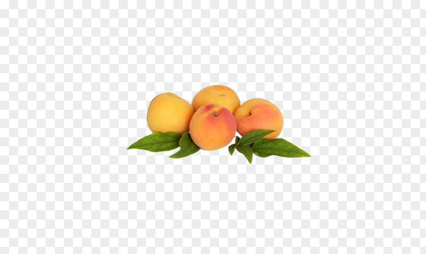 Peach Stock Photography Apricot Fruit Plum PNG