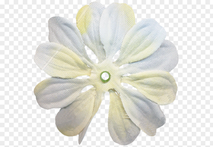 Petal Cut Flowers PNG