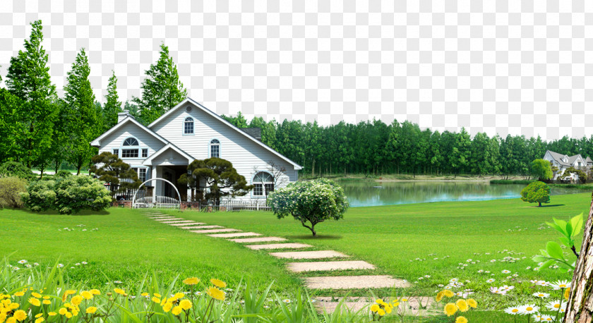 Rural House Of Forest Lawn Background Material Humidifier PNG