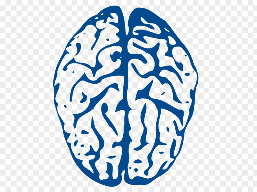 Animated Brain Cliparts Blue Project Clip Art PNG