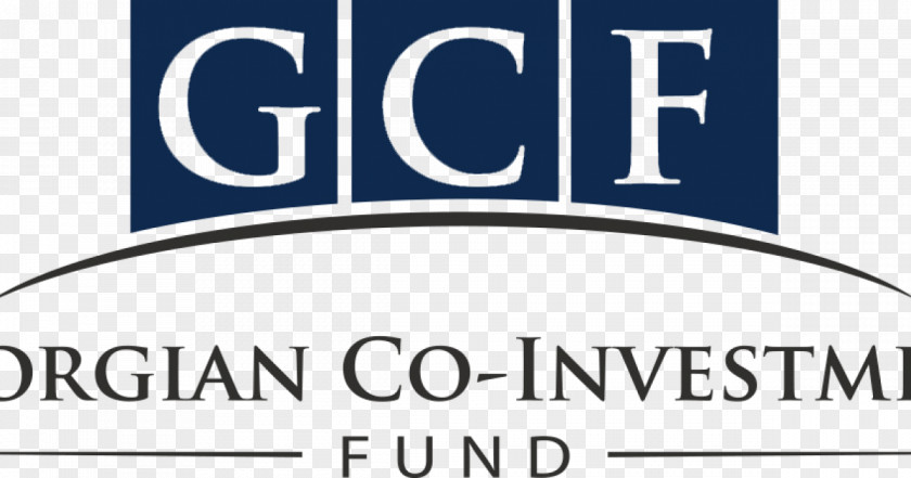 Business Georgian Co-Investment Fund Anagi LLC HQ PNG