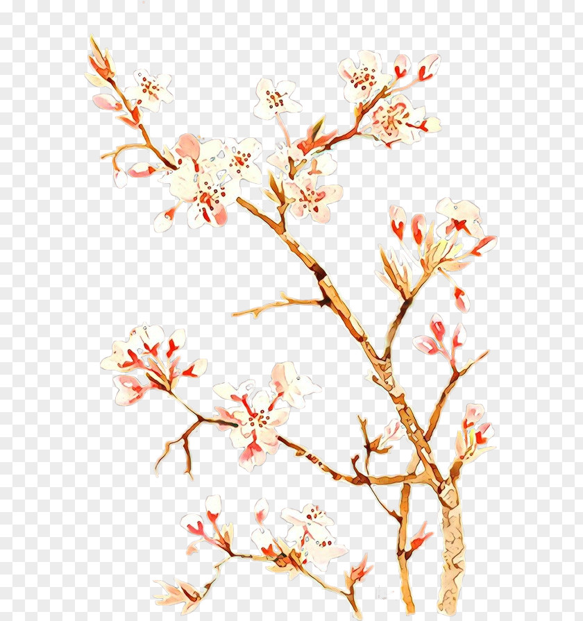 Cherry Blossom Plant Stem PNG